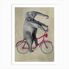 Elephant On Bicycle Art Print