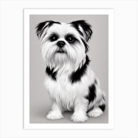 Shih Tzu B&W Pencil Dog Art Print