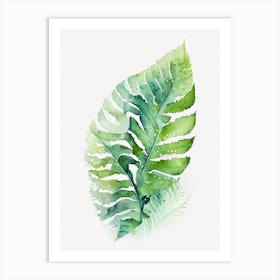 Soft Shield Fern Watercolour Art Print