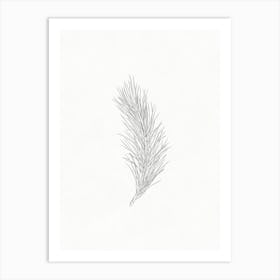 Pine Branch Sketch 1 Art Print