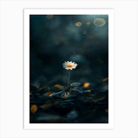 Daisy In The Dark 2 Art Print