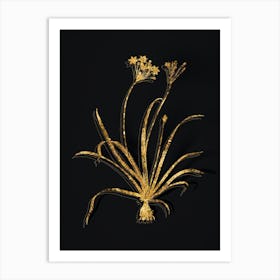 Vintage Allium Fragrans Botanical in Gold on Black Art Print