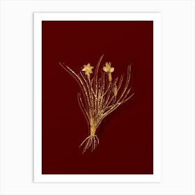Vintage Golden Blue eyed Grass Botanical in Gold on Red n.0105 Art Print