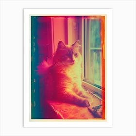 Cat Portrait Polaroid Inspired 1 Art Print