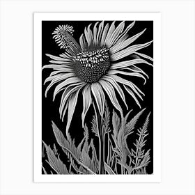 Purple Coneflower Wildflower Linocut 2 Art Print