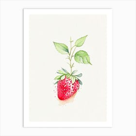 Strawberry Plant,, Fruit, Minimalist Watercolour Art Print