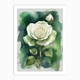 White Rose 2 Art Print