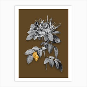 Vintage Pasture Rose Black and White Gold Leaf Floral Art on Coffee Brown n.0793 Art Print