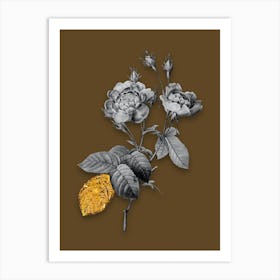 Vintage Anemone Centuries Rose Black and White Gold Leaf Floral Art on Coffee Brown n.0077 Art Print