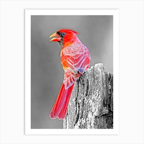 Cardinal on a dry tree stump Art Print