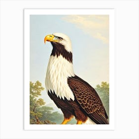 Bald Eagle James Audubon Vintage Style Bird Art Print