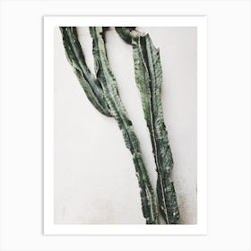 Cactus Art Print