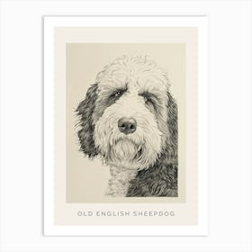 Old English Sheepdog Line Sketch 4 Poster Art Print