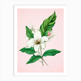 Lily Of The Valley 28 Art Print