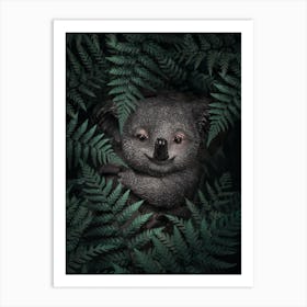 Cute Baby Koala Art Print