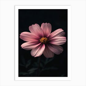 Pink Cosmos Flower 2 Art Print