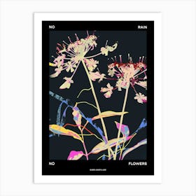 No Rain No Flowers Poster Queen Annes Lace 4 Art Print