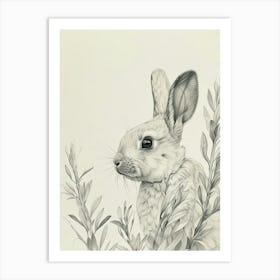 Thrianta Rabbit Drawing 3 Art Print