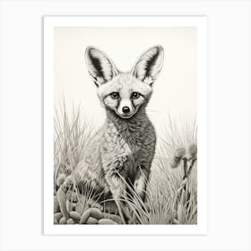 Bat Eared Fox In A Field Pencil Drawing 1 Art Print