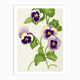 Pansy Vintage Botanical Flower Art Print