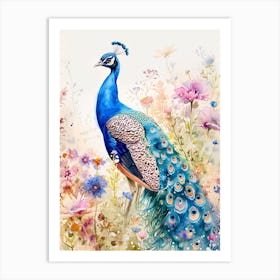 Peacock In A Floral Meadow Watercolour 1 Art Print