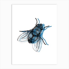 Fly Blu Art Print