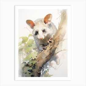 Light Watercolor Painting Of A Posing Possum 4 Art Print