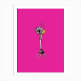 Vintage Crocus Sativus Black and White Gold Leaf Floral Art on Hot Pink n.0969 Art Print