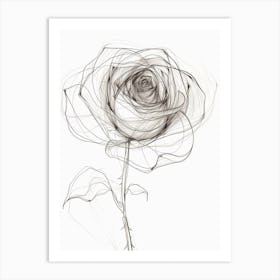 English Rose Black And White Line Drawing 3 Art Print