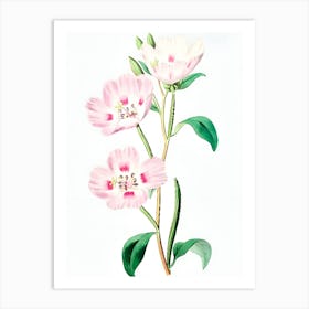 Pink Flowers 3 Art Print