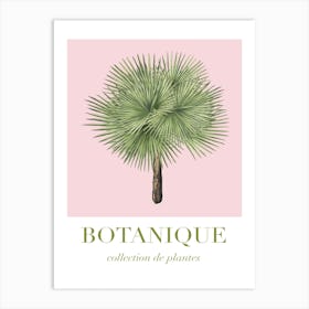 Botanique 2 Pink And Green Art Print