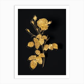 Vintage Provence Rose Botanical in Gold on Black n.0015 Art Print