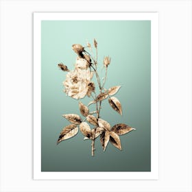 Gold Botanical Common Rose of India on Mint Green n.0039 Art Print