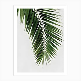 Palm Leaf Art Print