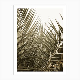 Palm Forest Art Print