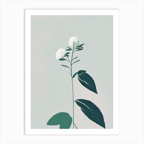Mountain Mint Wildflower Simplicity Art Print