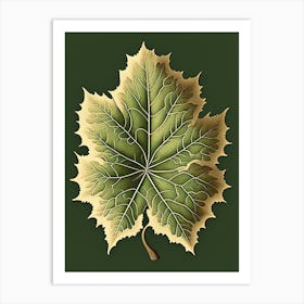 Sycamore Leaf Vintage Botanical 1 Art Print