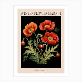 Iceland Poppy 1 Winter Flower Market Poster Art Print