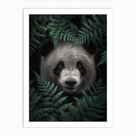 Panda Bear In The Forest Art Print