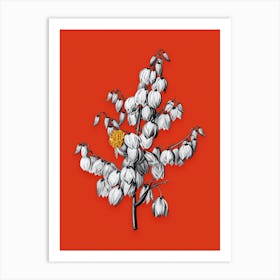 Vintage Aloe Yucca Black and White Gold Leaf Floral Art on Tomato Red n.0081 Art Print