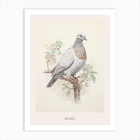 Vintage Bird Drawing Pigeon 3 Poster Art Print