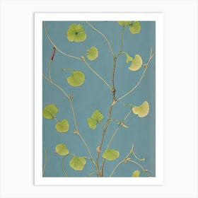 Ginkgo tree Vintage 2 Botanical Art Print