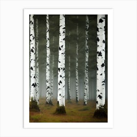 Birch Forest 91 Art Print