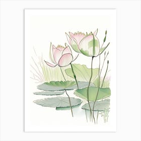 Lotus Flowers In Park Pencil Illustration 5 Art Print
