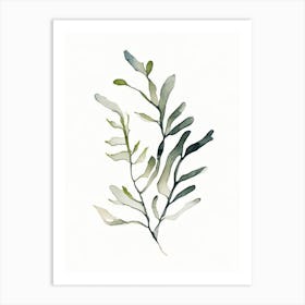 Bladderwrack Leaf Minimalist Watercolour 1 Art Print