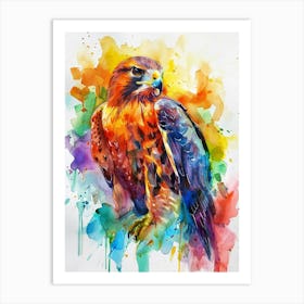 Hawk Colourful Watercolour 2 Art Print