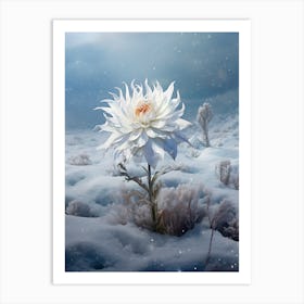 Beautiful Winter Flower 7 Art Print