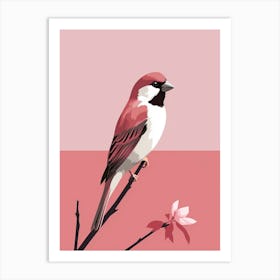 Minimalist House Sparrow 4 Illustration Art Print