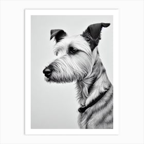 Glen Of Imaal Terrier B&W Pencil Dog Art Print