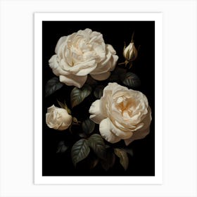 Three White Roses Art Print